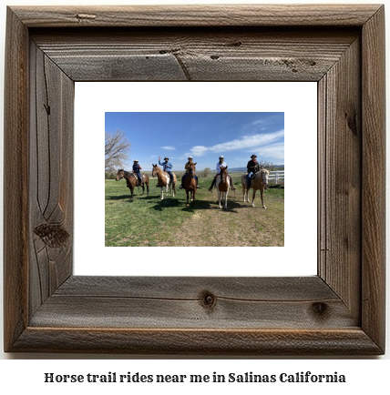 horse trail rides near me in Salinas, California